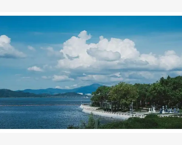 中医脾胃虚祛湿食疗方子,摆脱住病症困扰